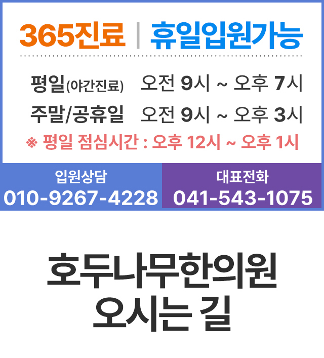 호두나무한의원 진료시간 안내, 365진료, 평일 7시까지 야간진료, 휴일입원가능, 입원상담 010-9267-4228